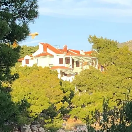 Daire Seaside Maja Bilo A3 Otok Trara