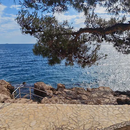 Seaside Maja Bilo A3 * Otok Trara